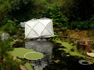 pond cover